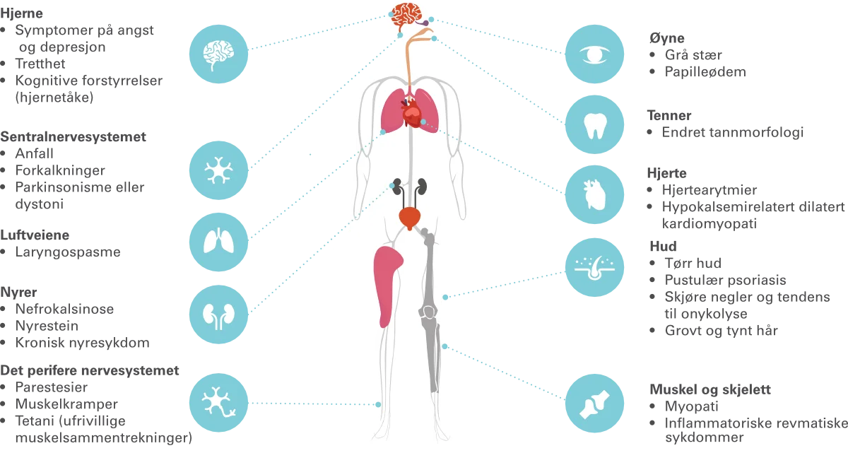 Symptomdiagram