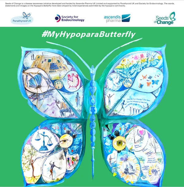 Option 2 example showing a colourful butterfly with a collage of images on a green background